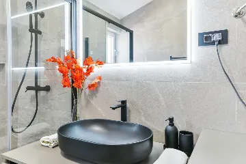 3-Bedroom House with Pool in Vir, Croatia