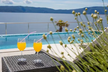 House for 5 Guests with Infinity Pool in Vrh