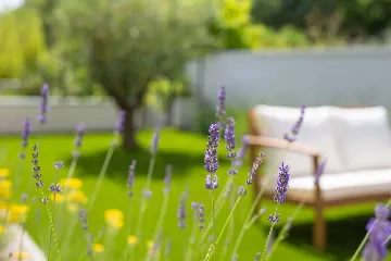 Villa in Vrbnik with Sea-View Infinity Pool