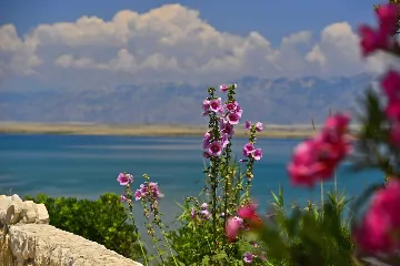 Privlaka 4-Bedroom House with Pool for 8