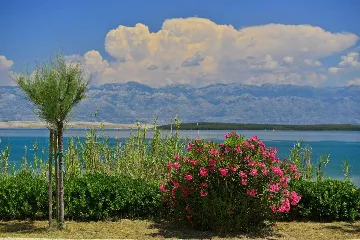 Privlaka 4-Bedroom House with Pool for 8