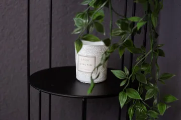 Modern 4-Bedroom House in Privlaka for 8 Guests