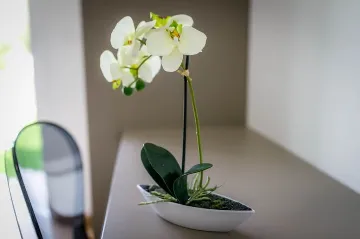 Modern 4-Bedroom House in Privlaka for 8 Guests