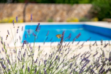 Stone Villa with Pool for 10 Guests in Dobrinj