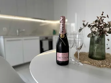 Sea-View Terrace Apartment in Vir for 2 Guests