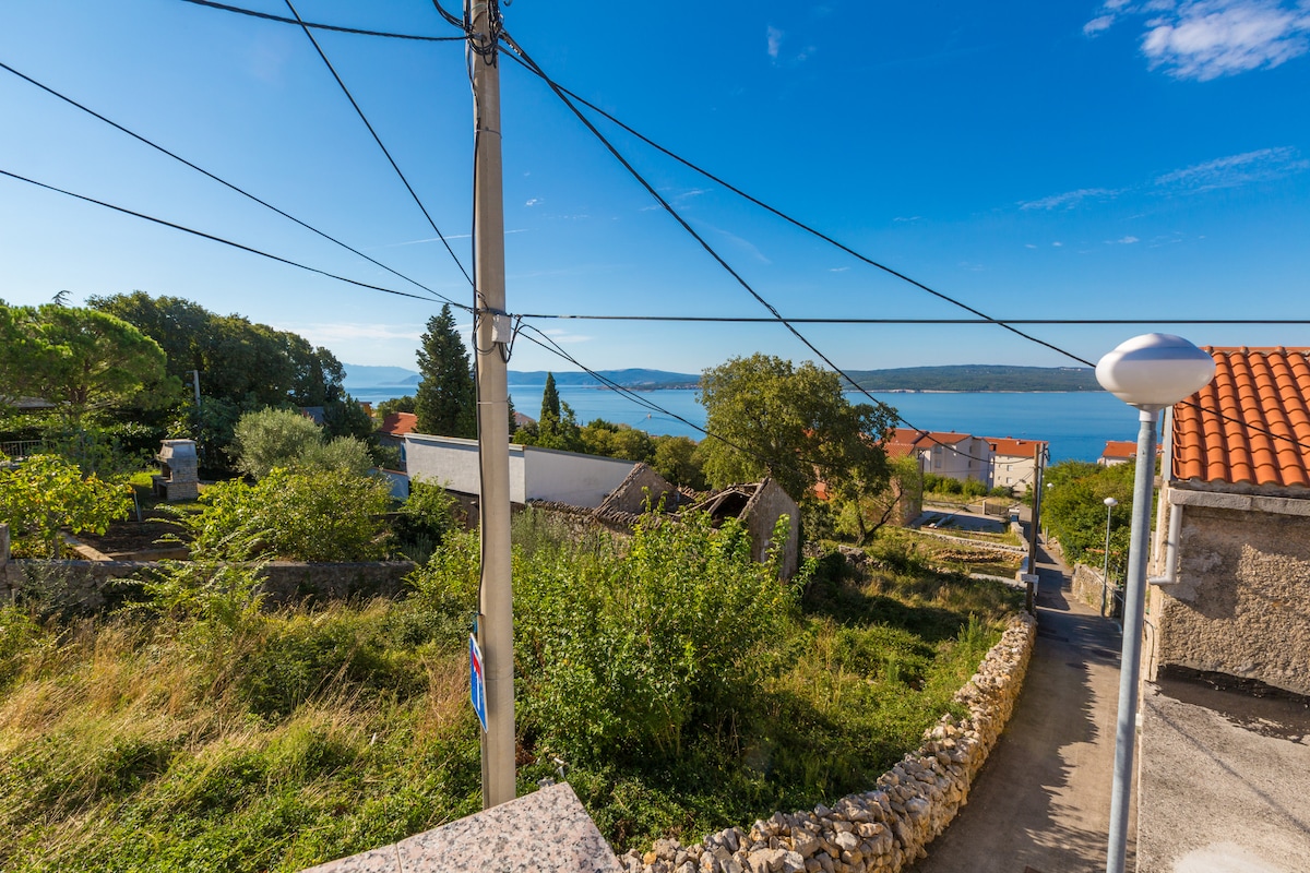 Apartman Andjelka