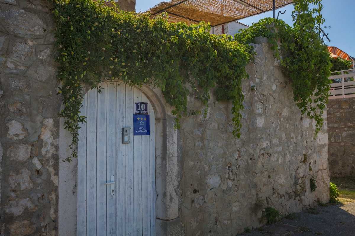 Villa Ivana 1903