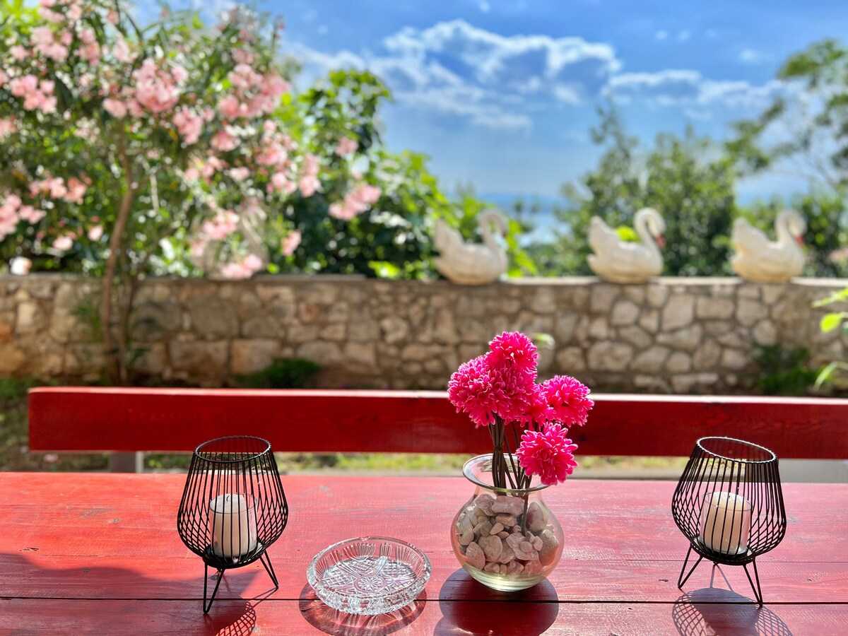 Apartman Ana 1