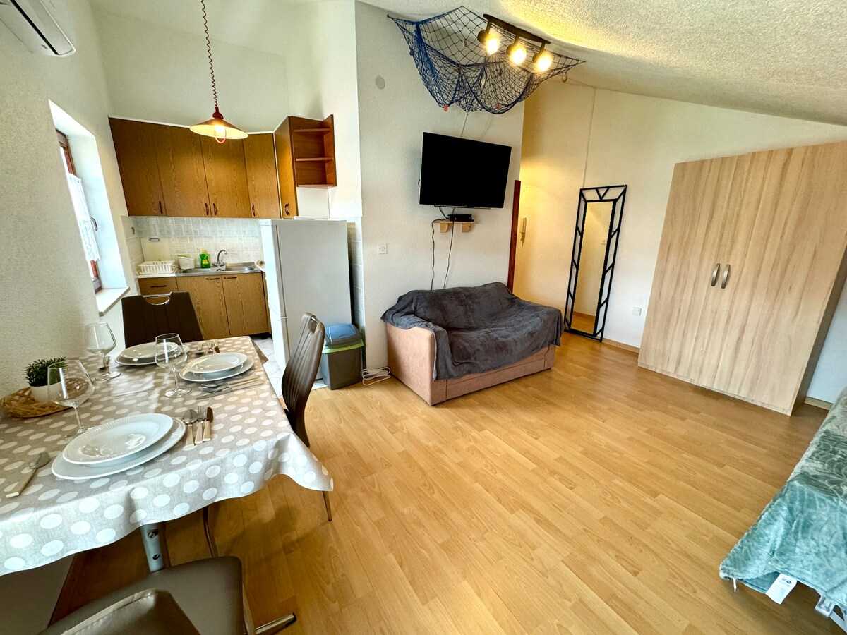 Studio apartment Vida