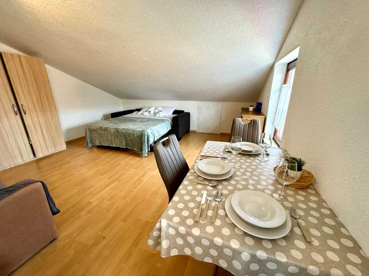 Studio apartment Vida