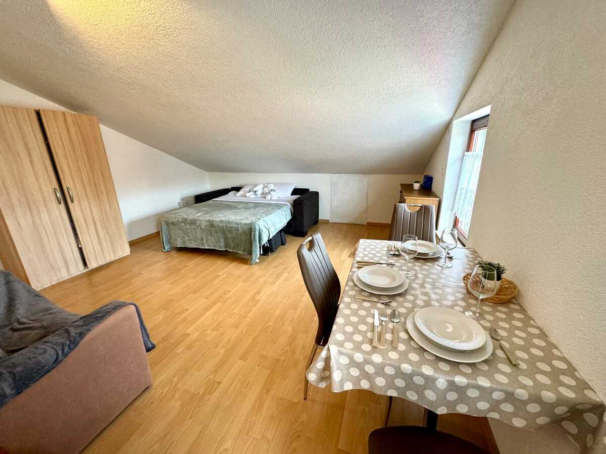 Studio apartment Vida