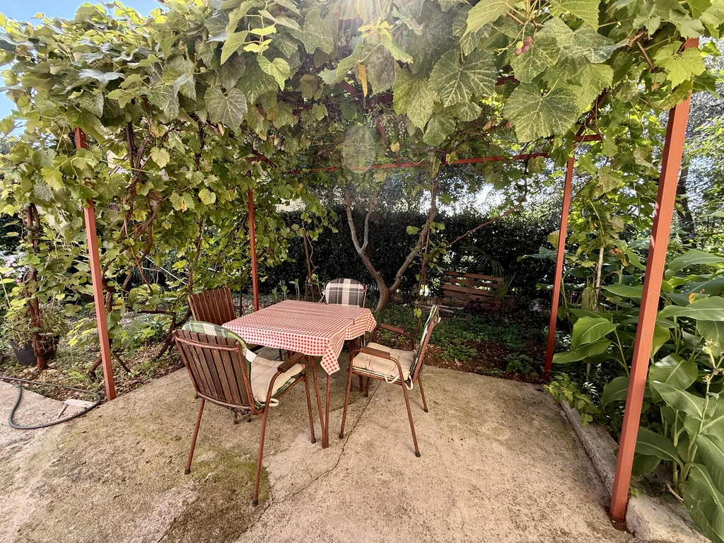 Apartment Ruža 4