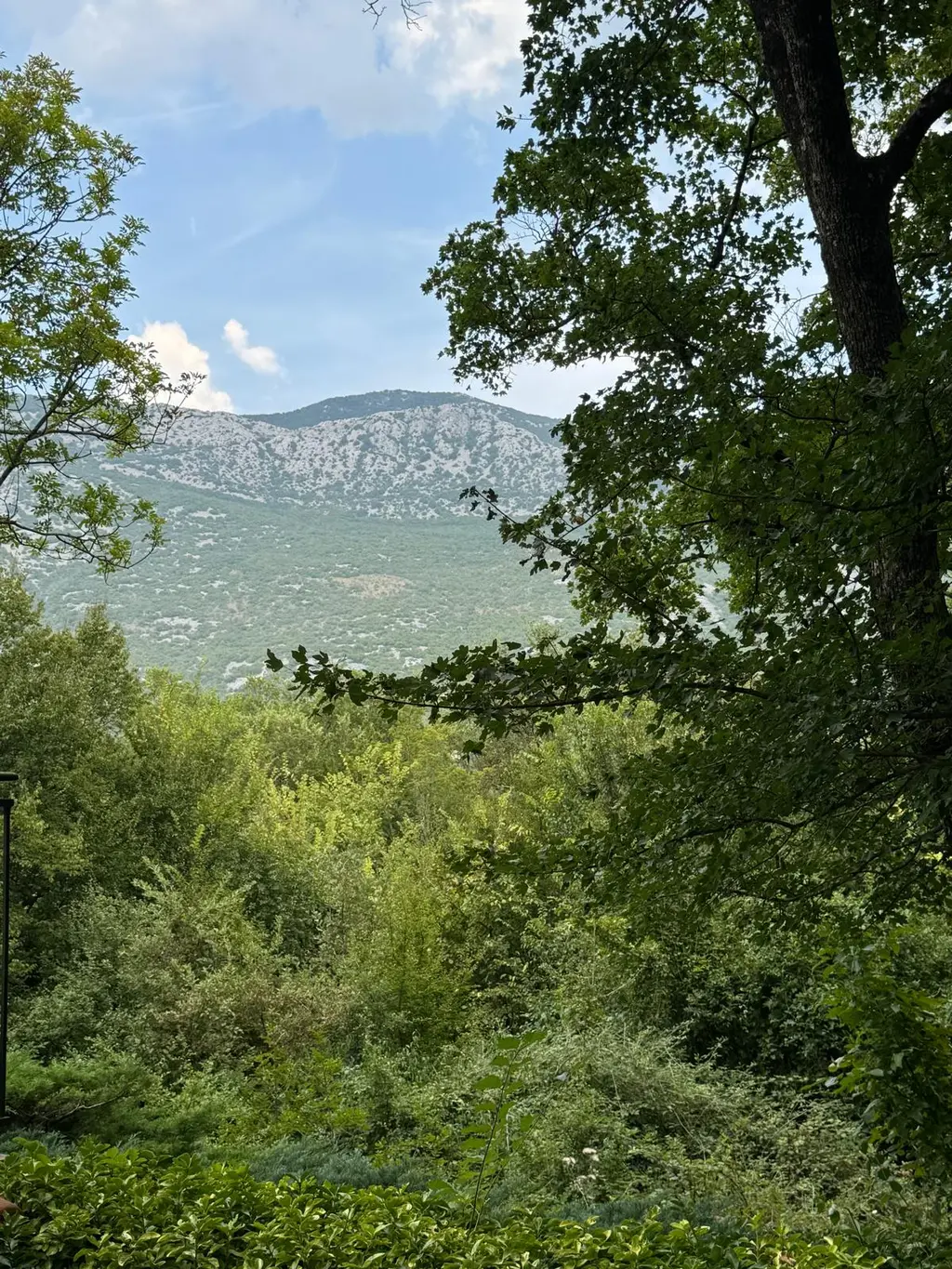Kuća Zelenog Sna