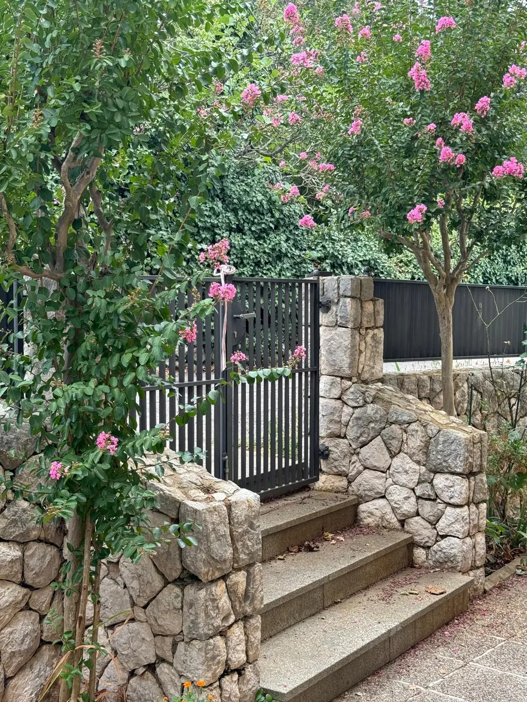 Kuća Zelenog Sna