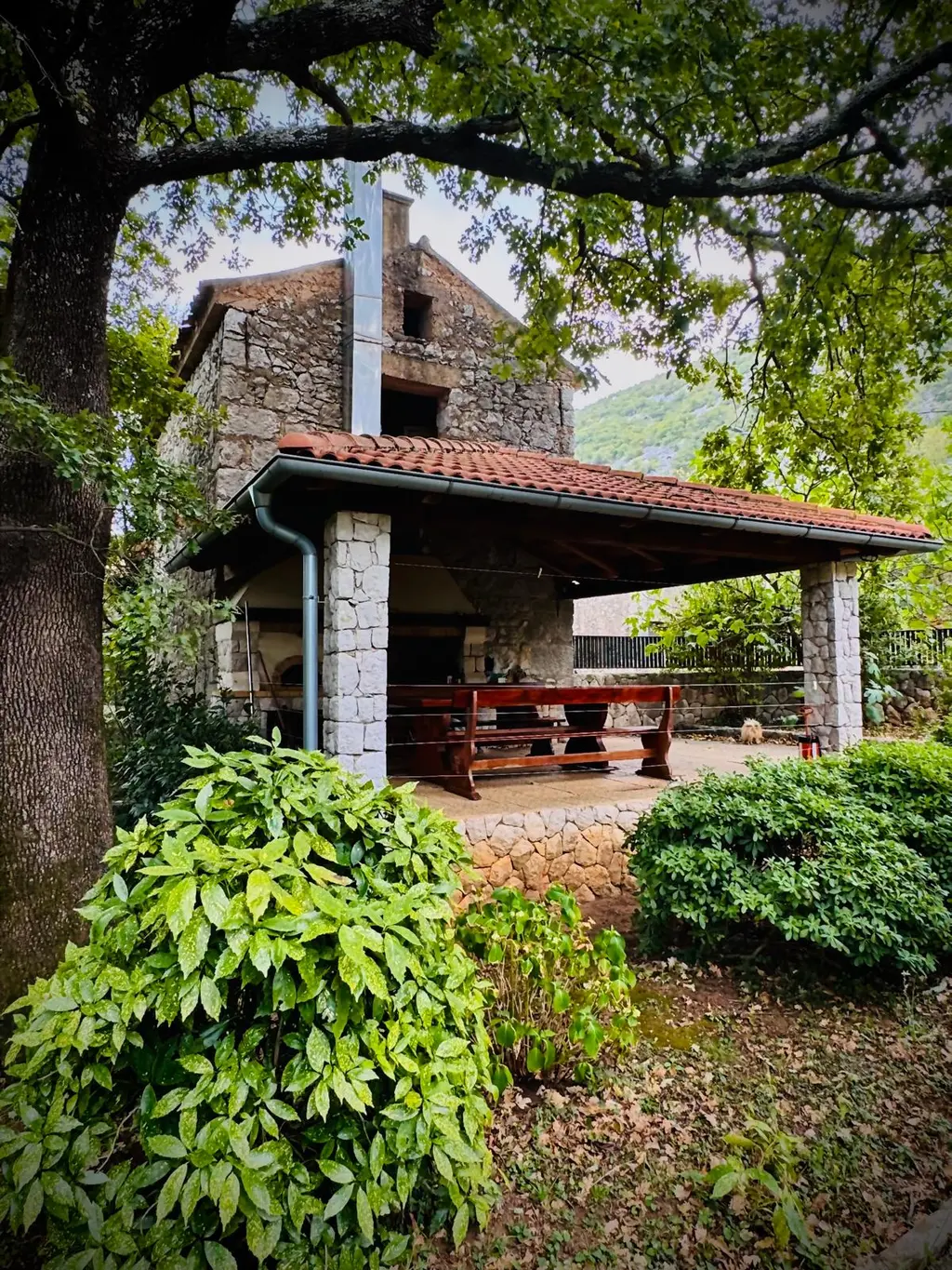 Kuća Zelenog Sna