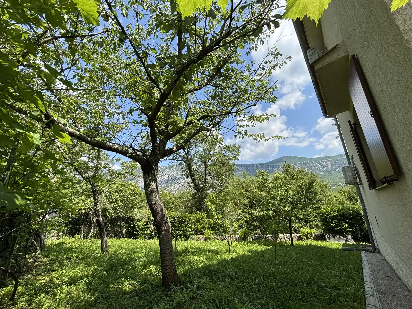 Kuća Zelenog Sna