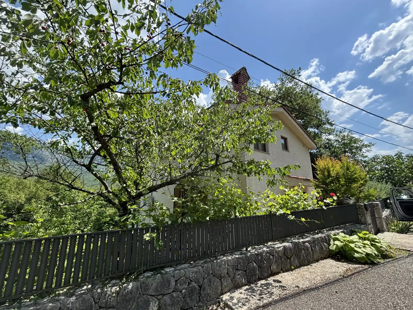 Kuća Zelenog Sna