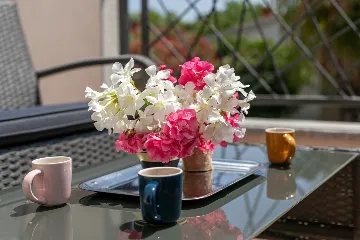 Condominium with Roof Terrace Jacuzzi in Pula