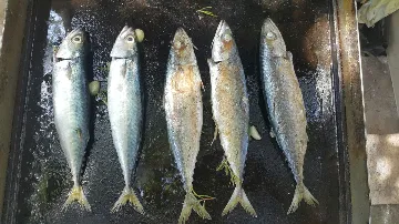 1-Bedroom Apartment in Poreč for 2 Guests