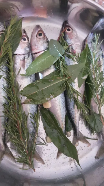 Apartment in Poreč for up to 3 guests