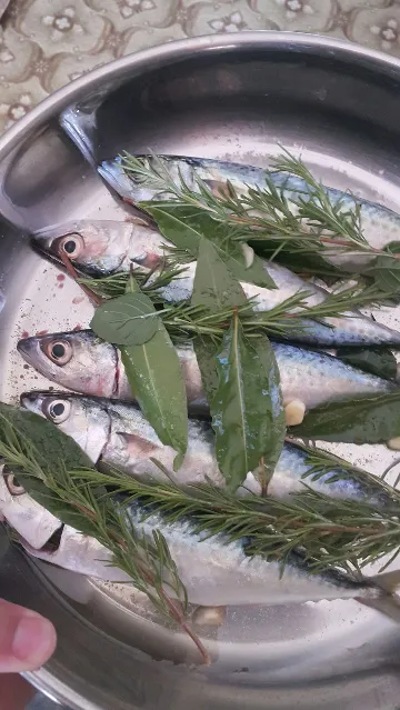 Apartment in Poreč for up to 3 guests