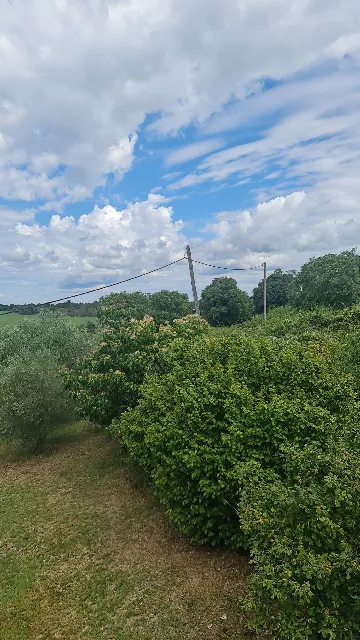 Two-Bedroom Apartment with Vineyard View in Starići