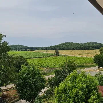 Two-Bedroom Apartment with Vineyard View in Starići