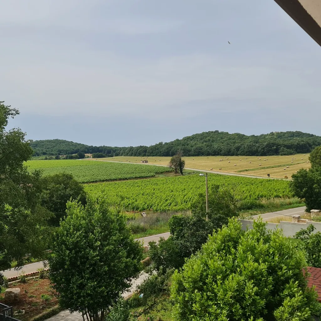 Two-Bedroom Apartment with Vineyard View in Starići