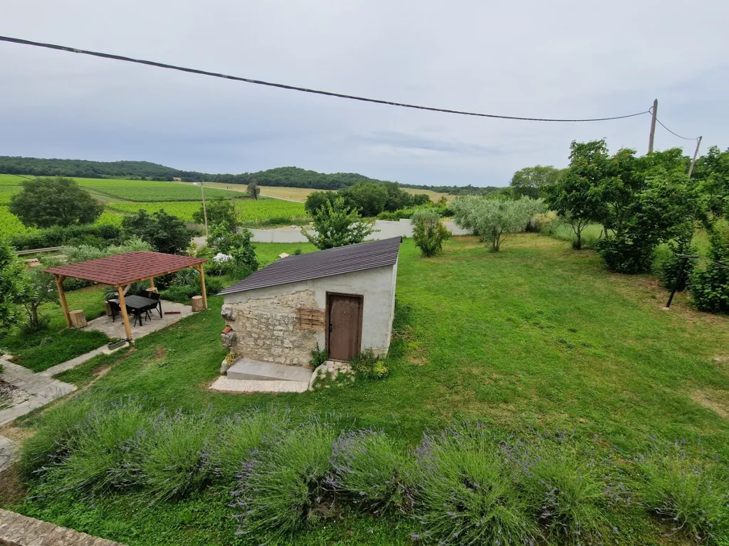 Two-Bedroom Apartment with Vineyard View in Starići
