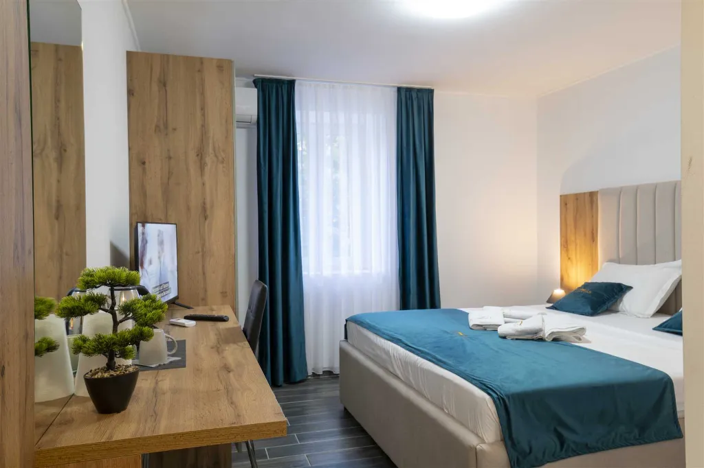 Petrovlja Room for 2 Guests