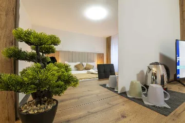 Room for 2 Guests in Petrovlja, Croatia