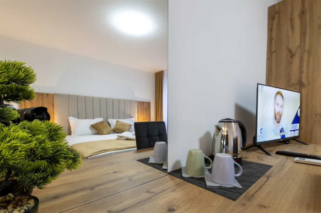 Petrovlja Room for 2 Guests