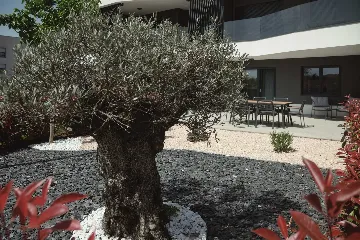 Umag Apartment for 6 Guests with 2 Bedrooms