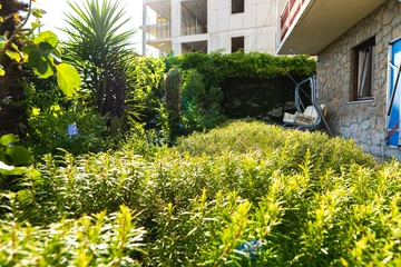 Apartment in Selce for 4 guests