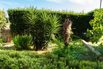 Apartment in Selce for 4 guests