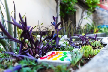 Ground-Floor Apartment in Selce