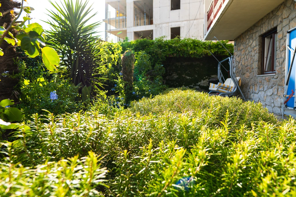 Ground-Floor Apartment in Selce