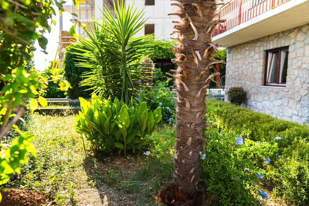 Ground-Floor Apartment in Selce