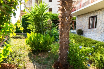 Ground-Floor Apartment in Selce