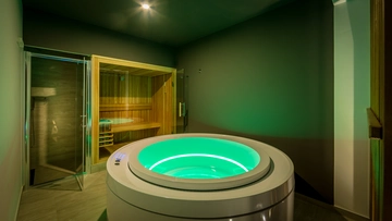 Villa with Heated Pool and Spa in Medveja