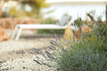 4-Bedroom Villa with Private Pool in Zavala, Croatia