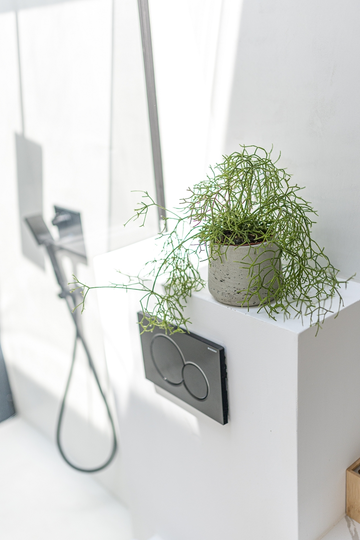 4-Bedroom Villa with Private Pool in Zavala, Croatia