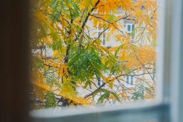 Zagreb Studio Apartment for 2 Guests