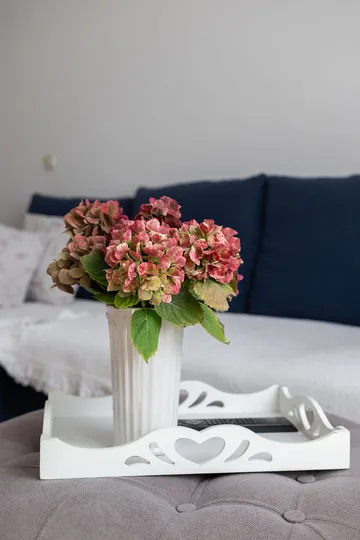 3-Bedroom Apartment in Tkon for Up to 6