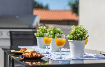 Swim-Up Apartment with Private Terrace in Pula