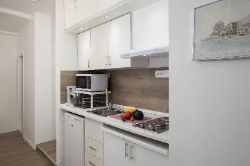 Apartment in Ika for 4 Guests with Sea-View Terrace