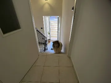 Two-Bedroom Apartment in Pula for 4 Guests