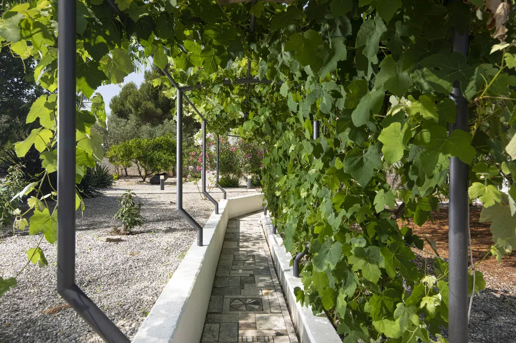 Villa in Ližnjan for 12 Guests near the Adriatic