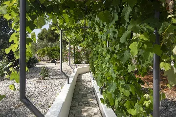 Villa in Ližnjan for 12 Guests near the Adriatic