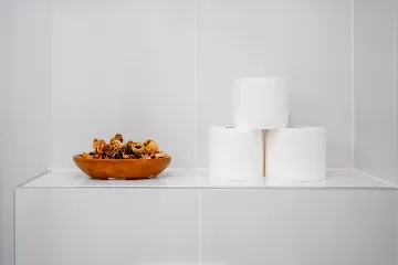 Zagreb Room for 2 Guests